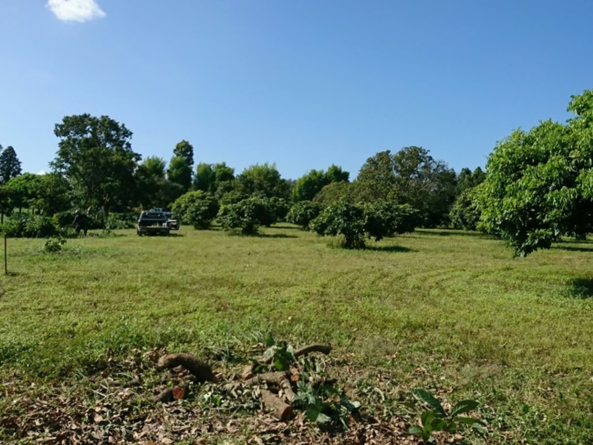  Land for Sale in Hang Dong District - Image 3