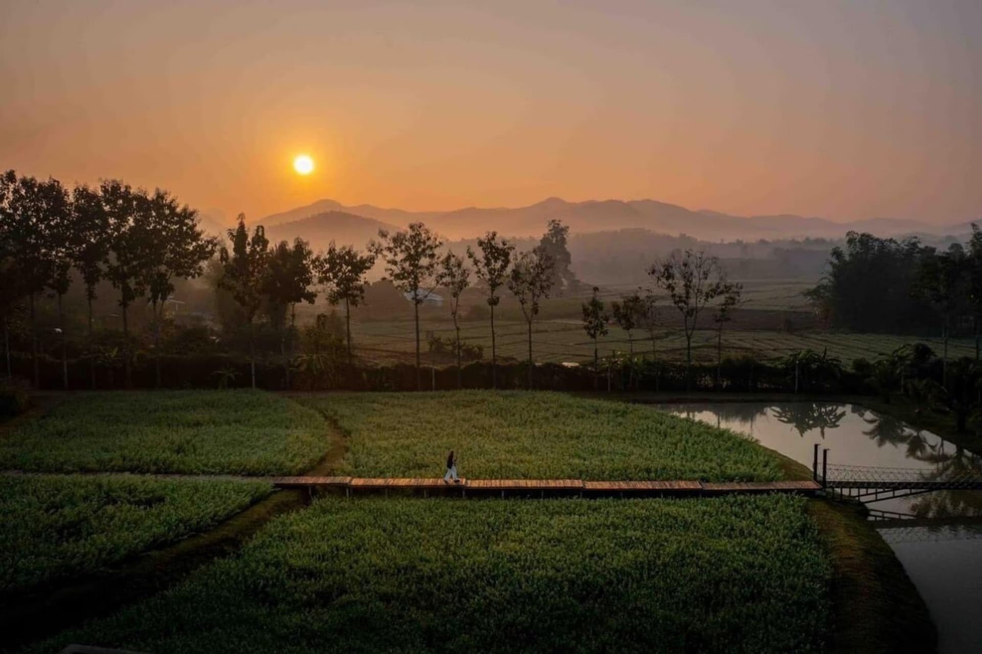 land สำหรับ ขาย ใน Chiang Dao District - Image 4