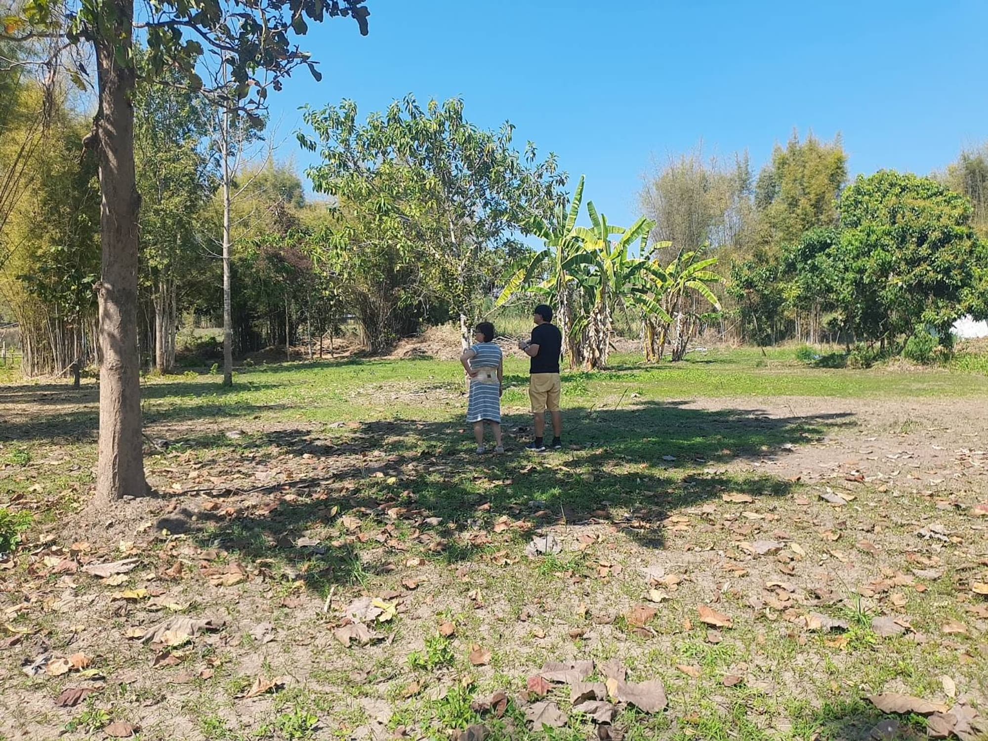  land สำหรับ ขาย ใน อำเภอสันทราย - Image 4