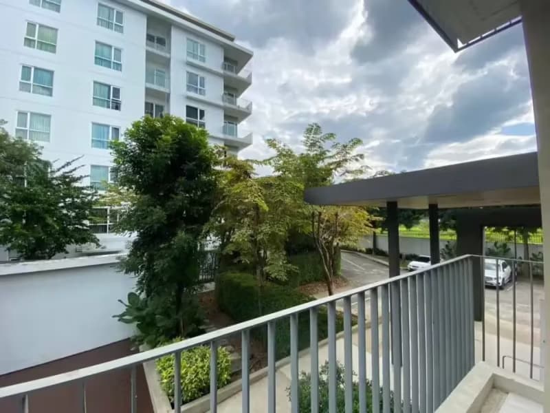 1 Bedroom Condo