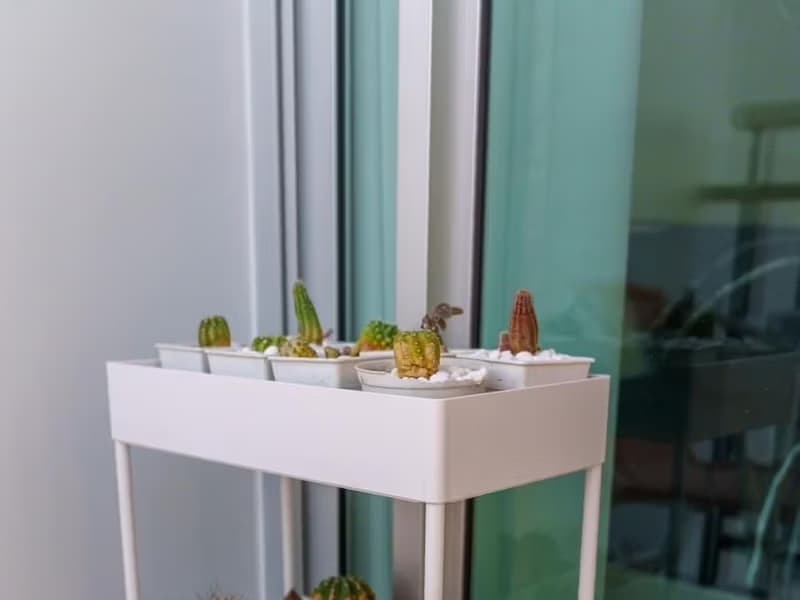 1 Bed Condo for Sale in Mueang Chiang Mai