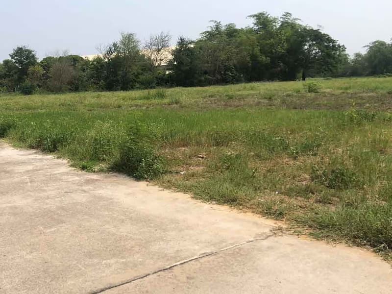 Prime Land for Sale in Chiang Mai Perfect Location for Building a Home or Investment