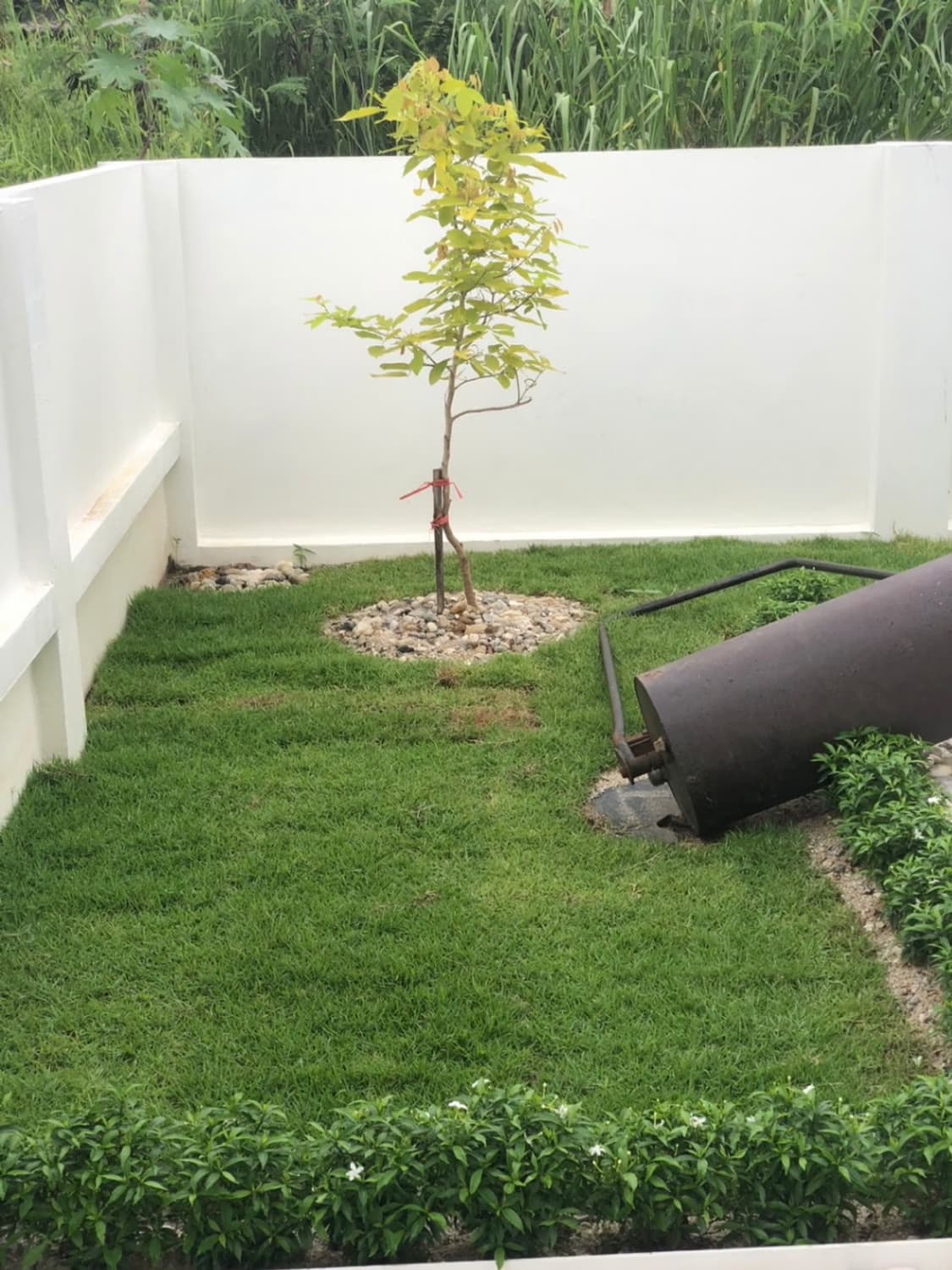 3 Bed House for Rent and Sale in San Sai - Image 19