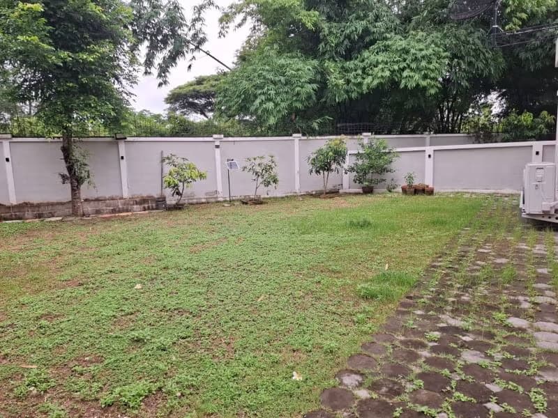 4 Bed House for Rent in Saraphi