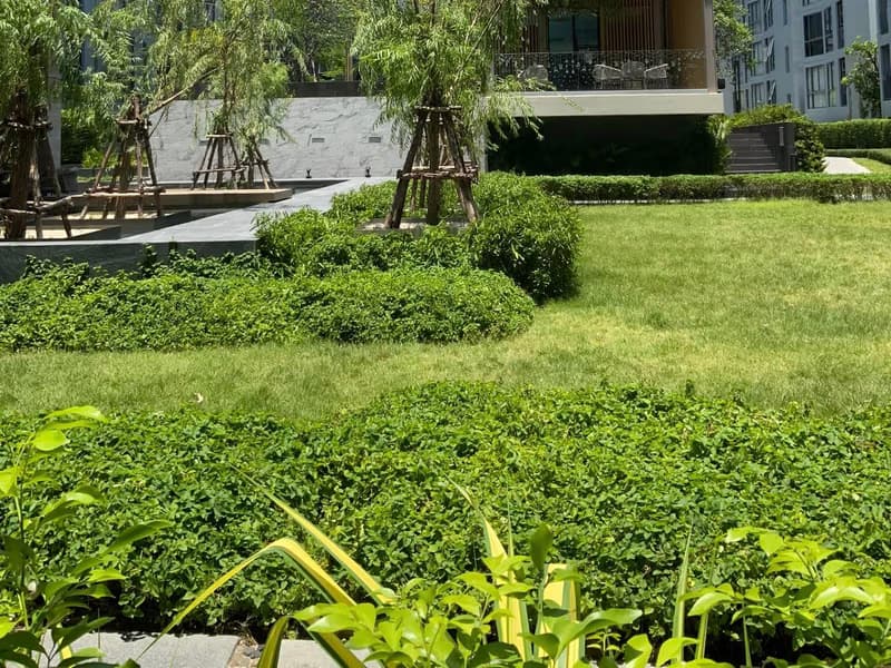 1 Bed Condo for Rent  Near Phra Khanong BTS