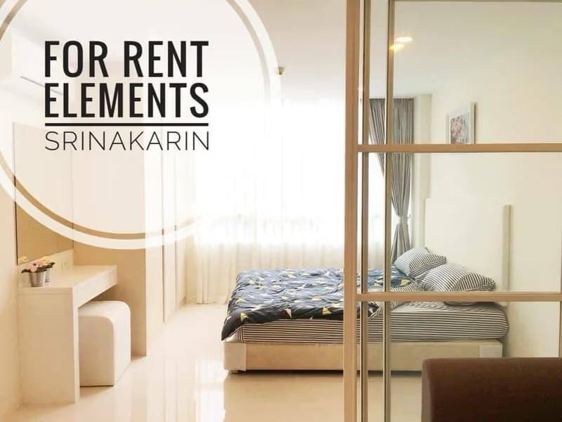 1 Bedroom Condo