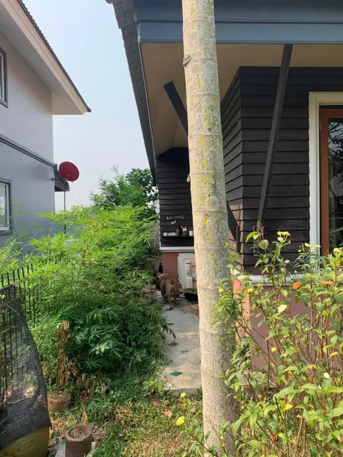 3 Bedroom House - Image 21