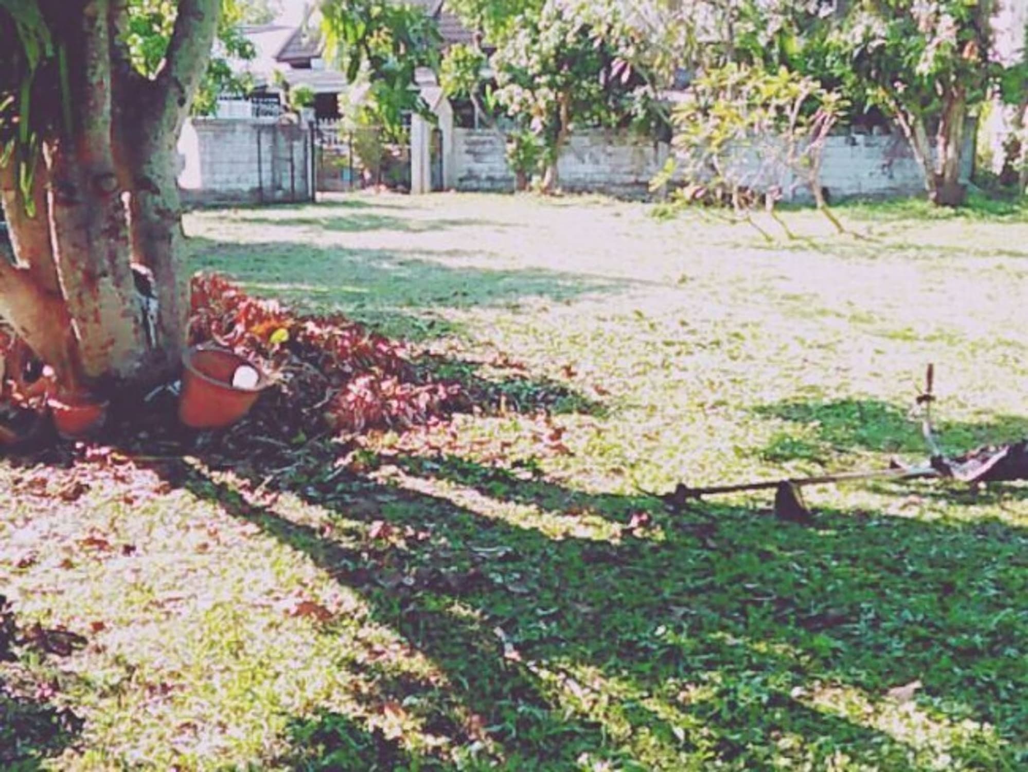  Land for Sale in Mueang Chiang Mai District - Image 8