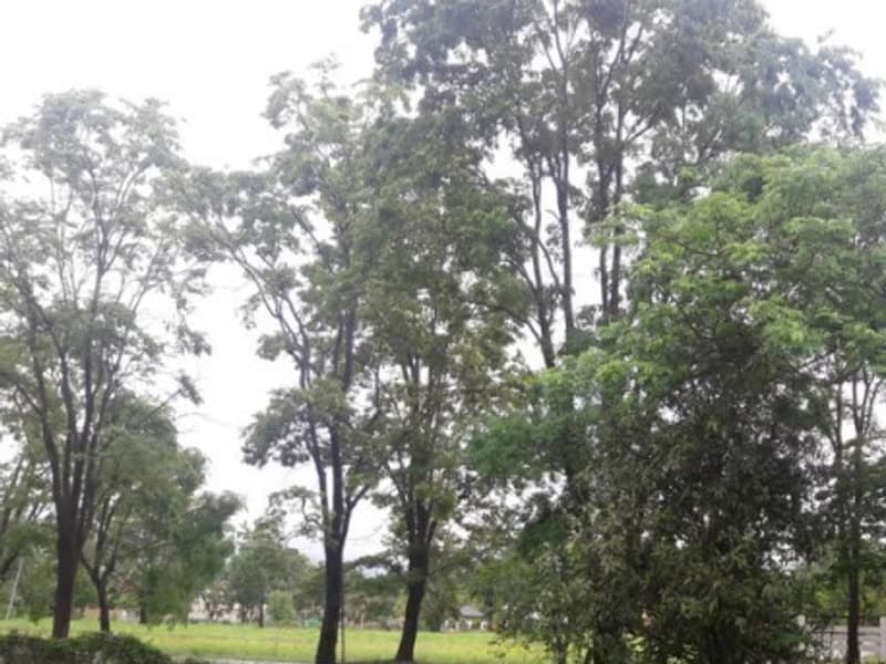  Land for Sale in Hang Dong District