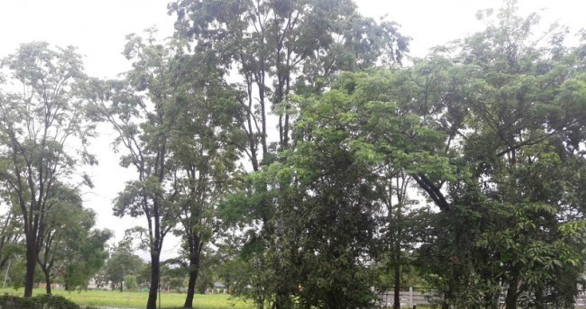  land สำหรับ ขาย ใน Hang Dong District - Image 6