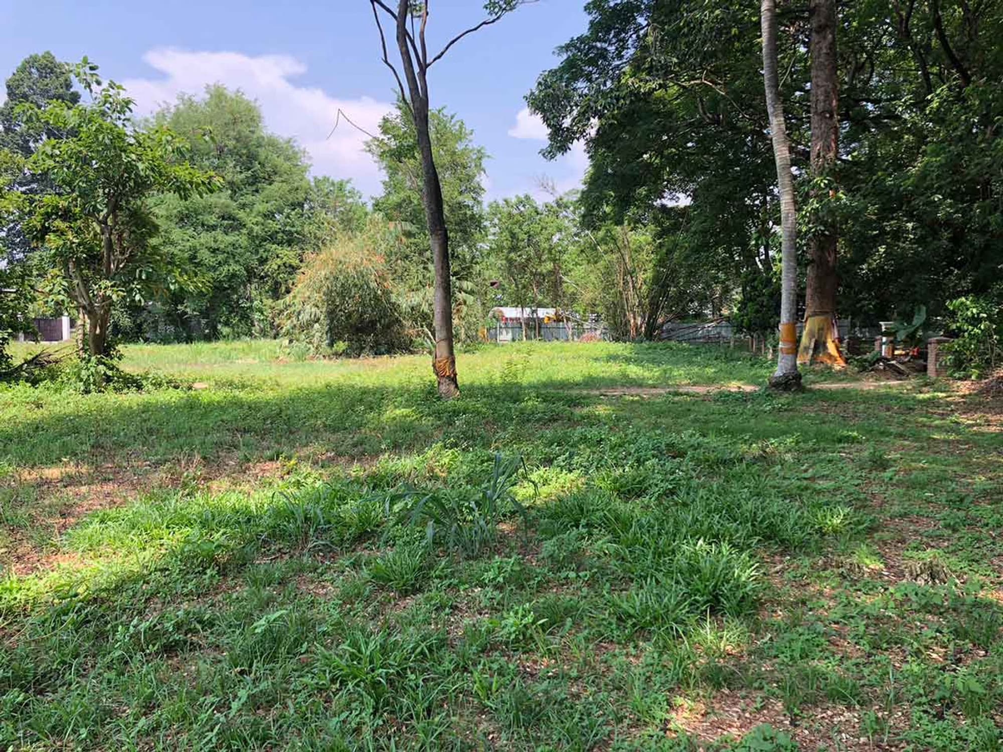 Land for Sale Near the City Plot Details: - Image 2
