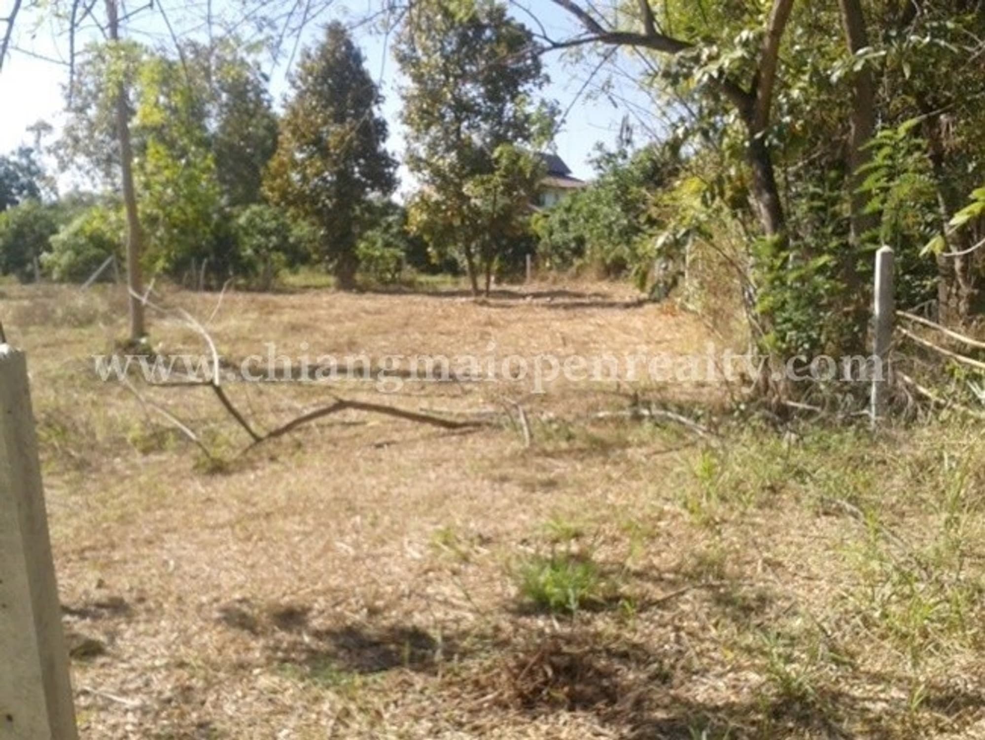  land 用于 出售 在 Hang Dong District - Image 5