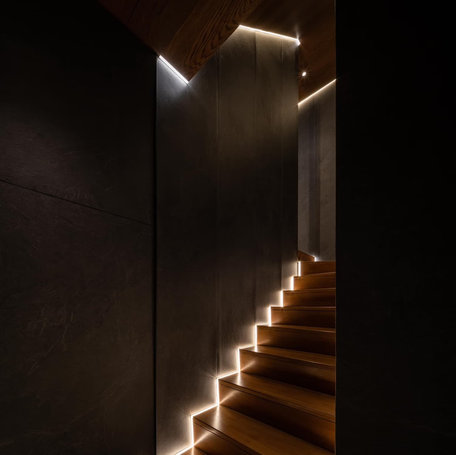  - Image 11