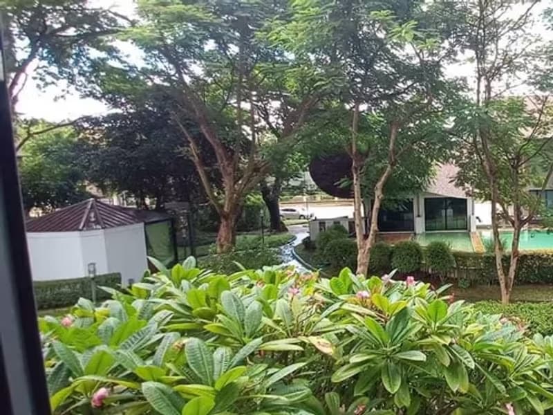1 Bedroom Condo