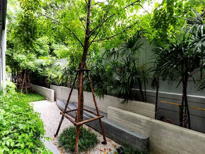 Condo for Rent at Taka Haus 