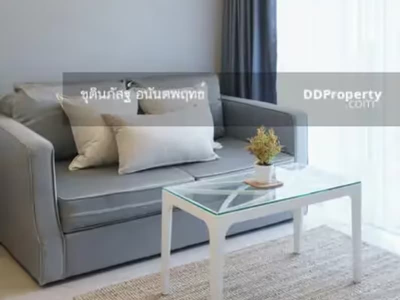 1 Bedroom Condo