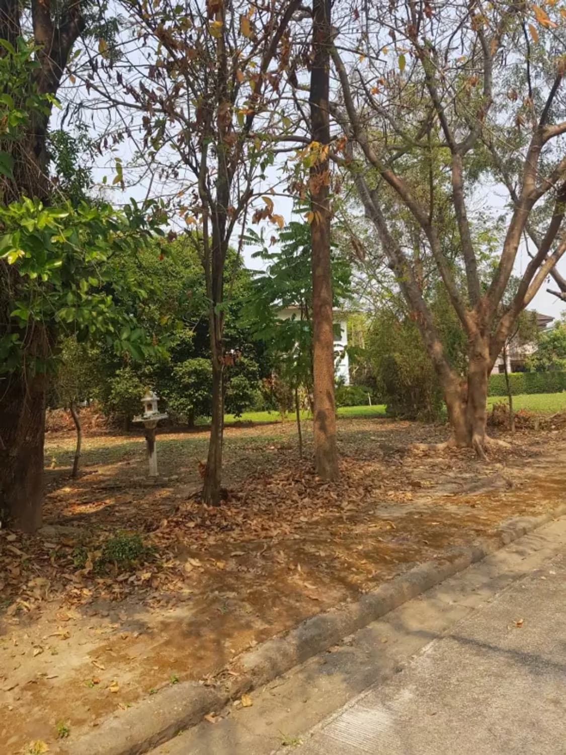 Land for Sale in Mae Sa, Mae Rim - Image 5