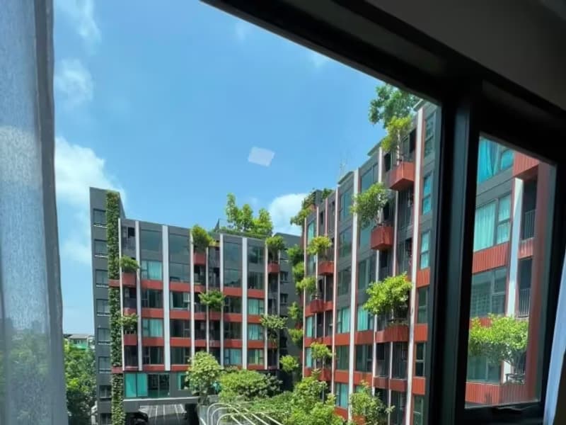 1 Bedroom Condo