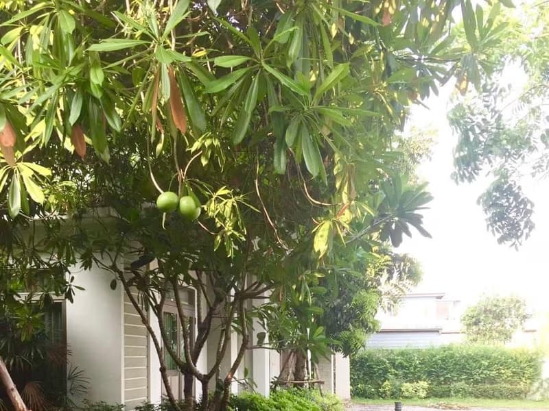 House for Sale at  Perfect Masterpeice Rama 9