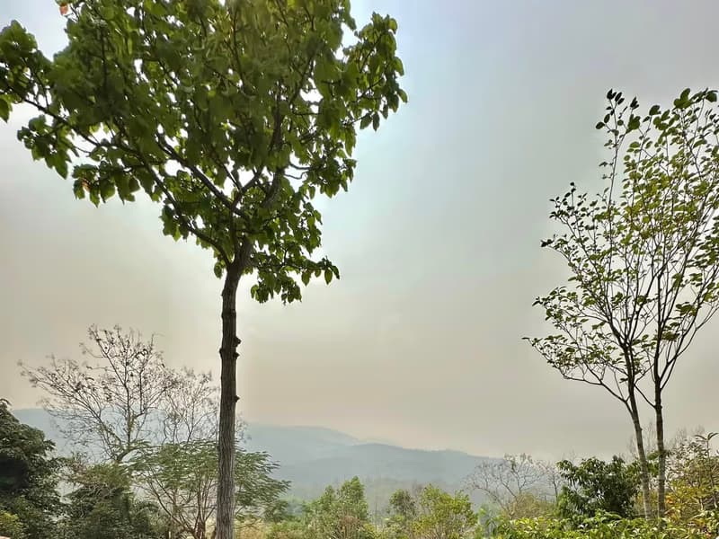 4 Bed House for Rent in Mae Rim