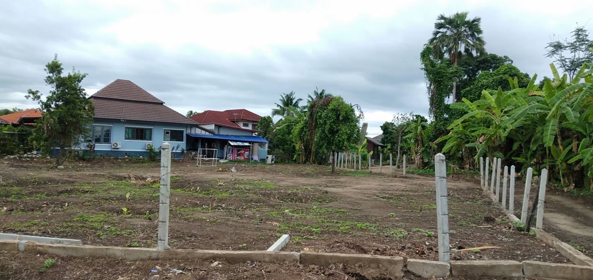  Land for Sale in San Sai - Image 3