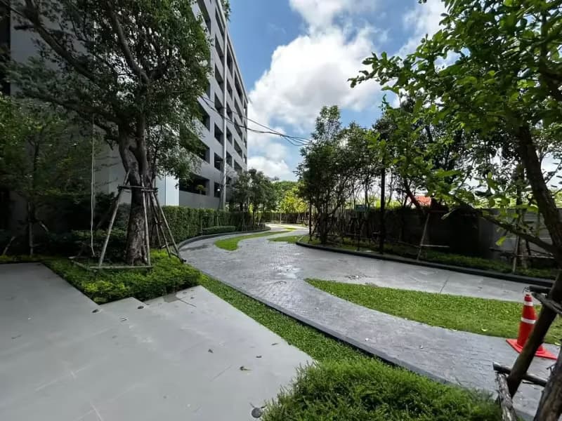 1 Bedroom Condo