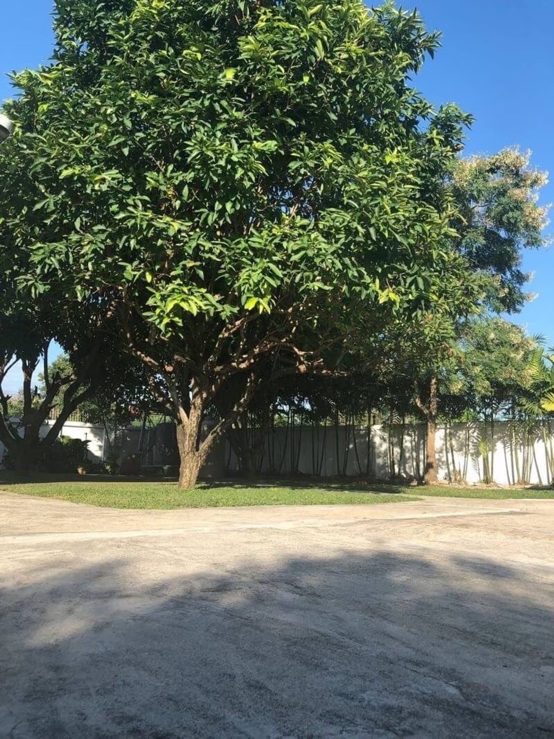 3 Bed House for Sale in Mae On District - Image 7