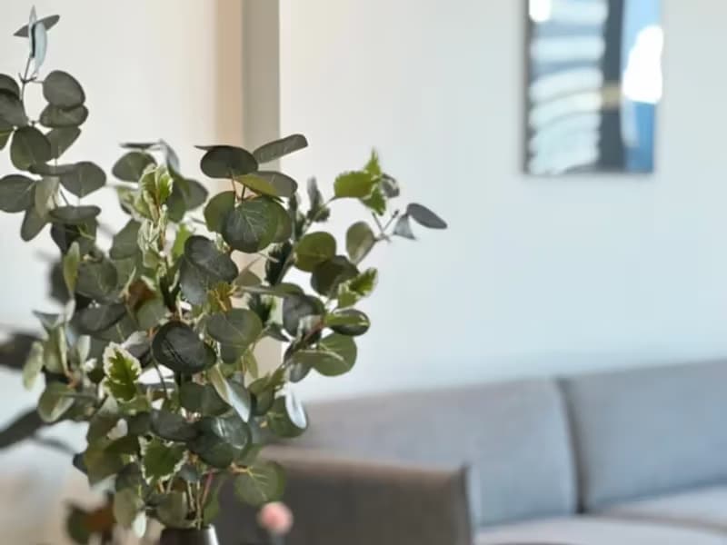 2 Bedroom Condo