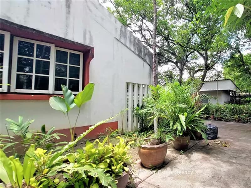 House for Sale in Chang Phueak, Mueang Chiang Mai.