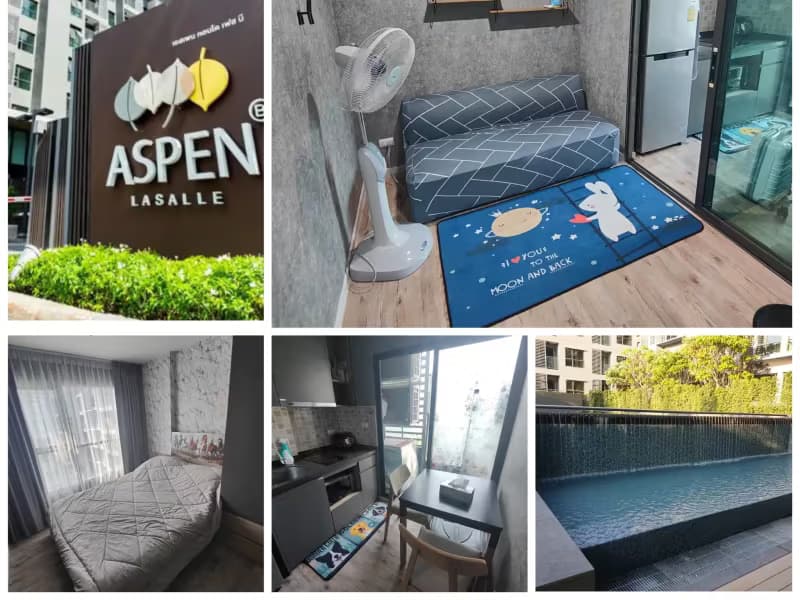 1 Bedroom Condo