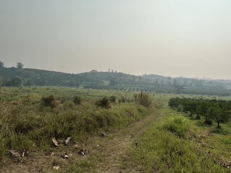  Land for Sale in Fang District