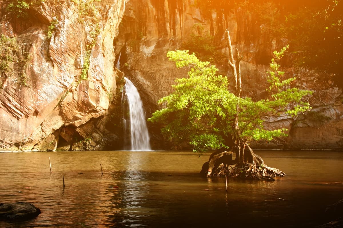 ลานสุขภาพชุมชนตำบลป่าแดง