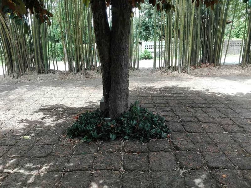 Code 1422 Resort-style house close to Ping river for sale