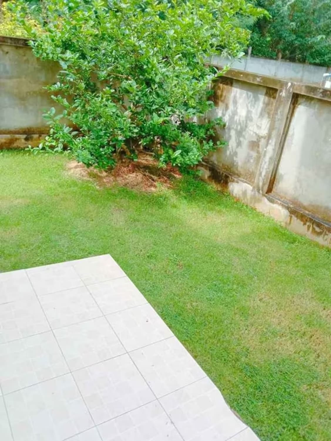  - Image 4