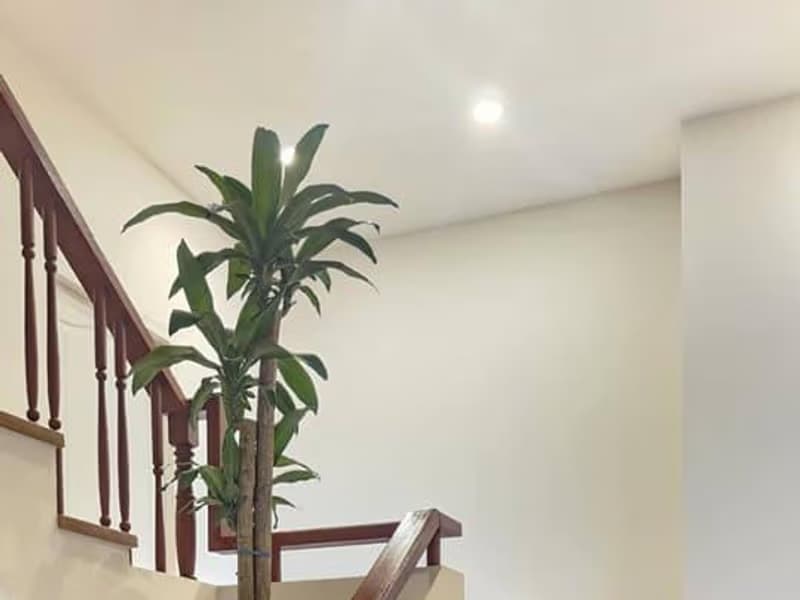 4 Bed Townhouse for Rent and Sale in Hang Dong