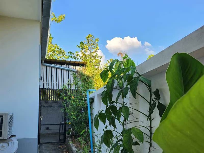 House for Sale, Rent in Tha Wang Tan, Saraphi.