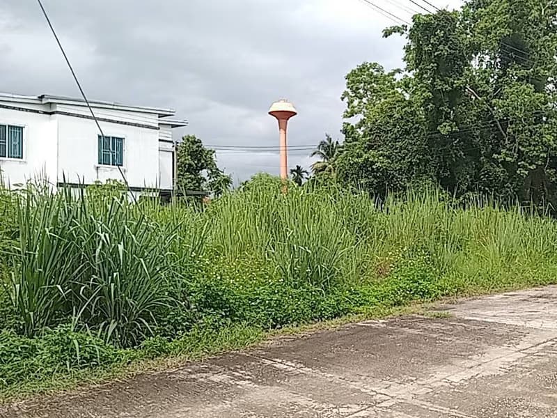  Land for Sale in Hang Dong