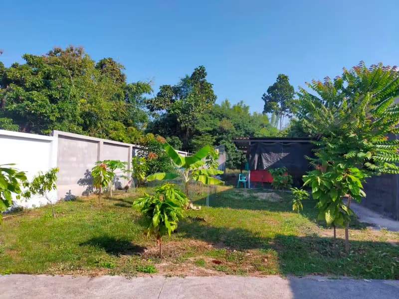 1 Bedroom House