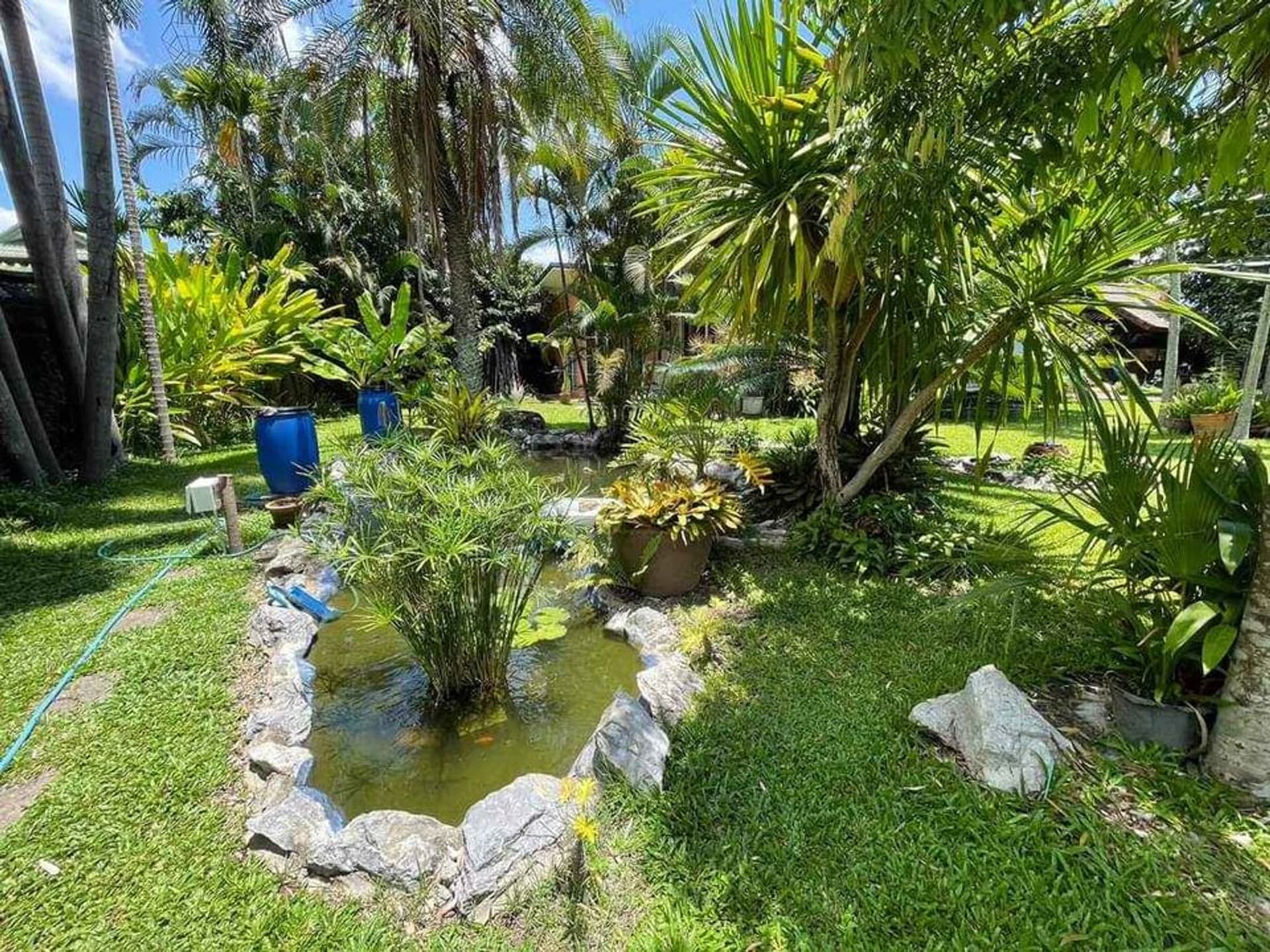 House for Sale in , San Sai.   - Image 20