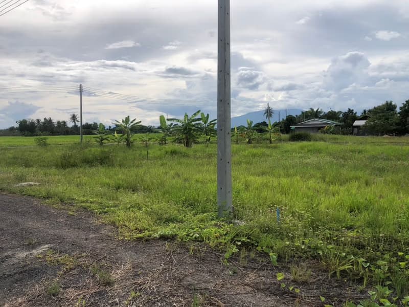  Land for Sale in Saraphi