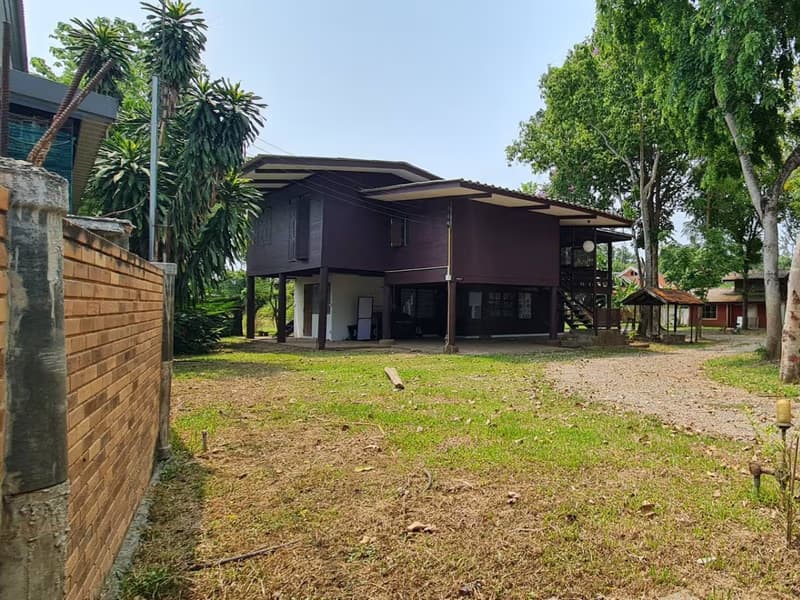 Land for Sale in Nong Phueng, Saraphi
