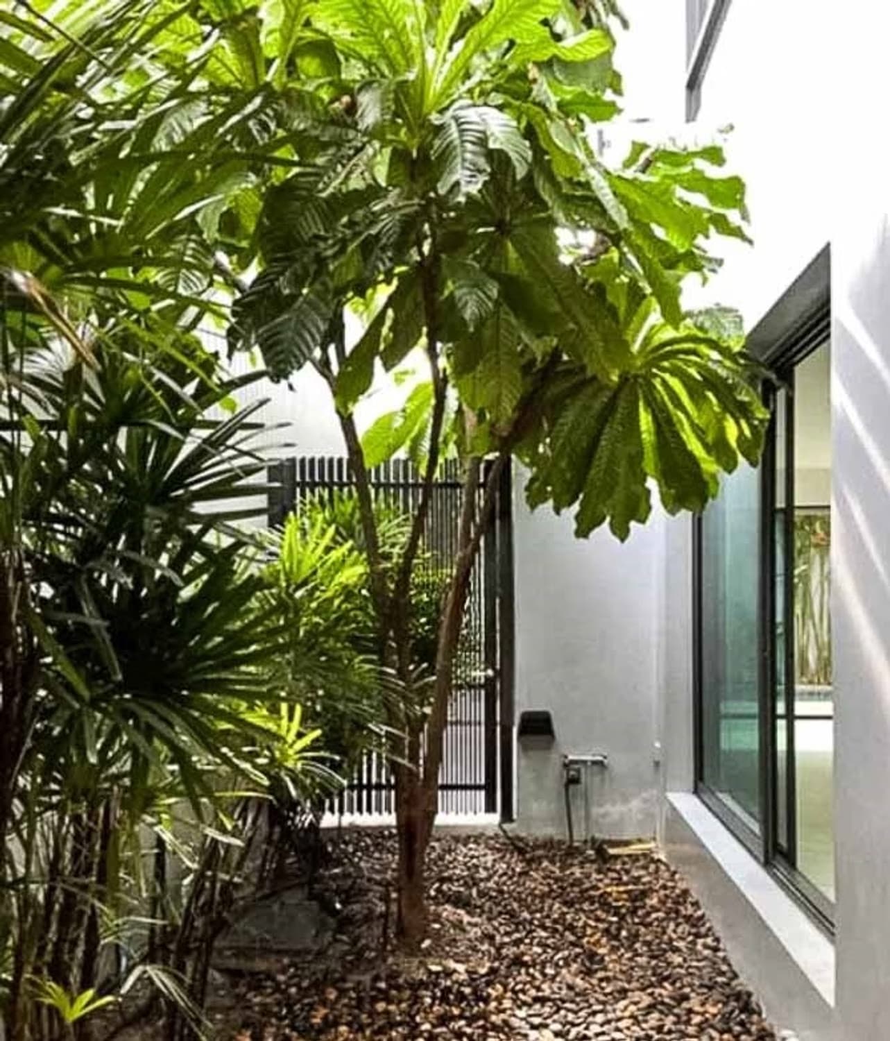 4 Bedroom House - Image 5