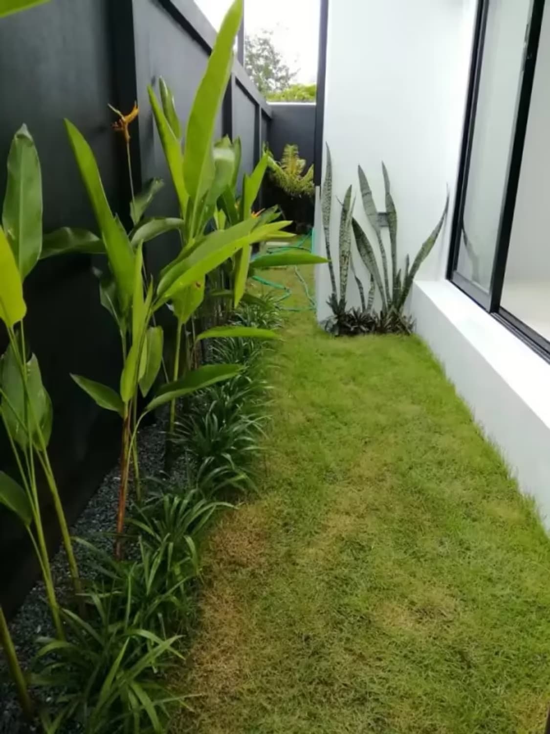 3 Bedroom House - Image 15