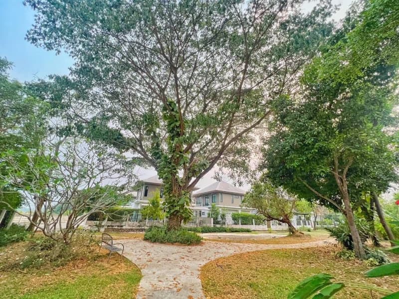 House for Rent in Nong Khwai, Hang Dong.