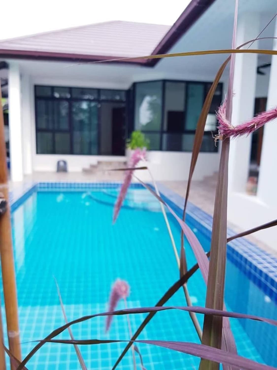 Pool Villa for rent in San Phak Wan, Hang Dong. - Image 20