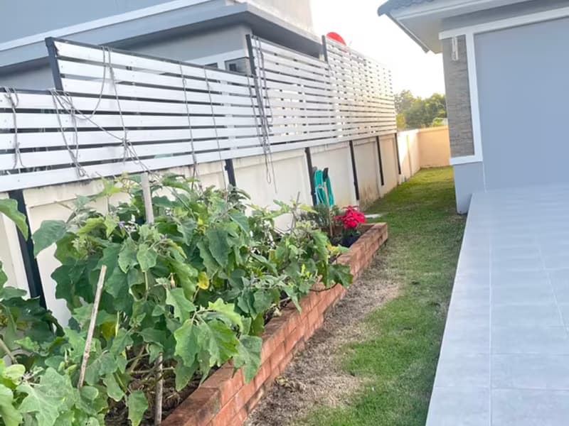 House for Rent in San Pa Pao, San Sai.