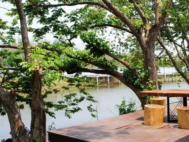 House for Rent, Sale in Nong Chom, San Sai.