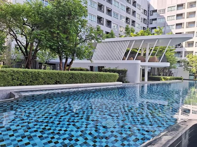 1 Bedroom Condo