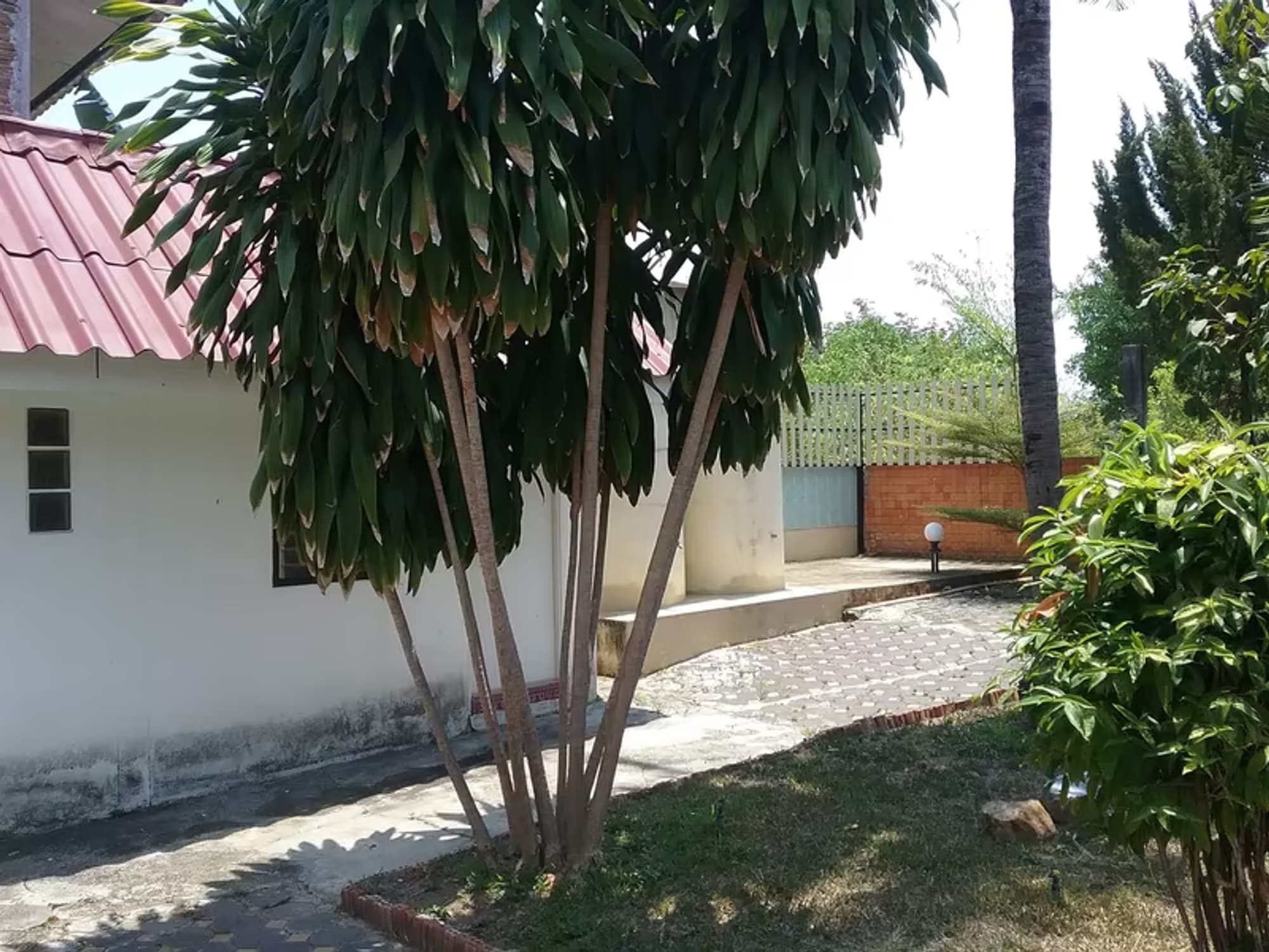 House for Rent in Nong Hoi, Mueang Chiang Mai. - Image 8