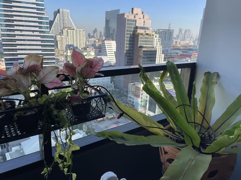 Condo for Rent at M Silom